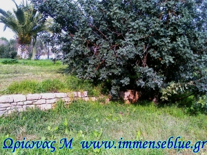 Ιππάρχου Τειχίον (Ακαδημία Πλάτωνος) - Ωρίωνας Μ