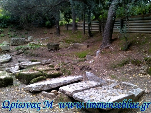 Τάφοι (Ακαδημία Πλάτωνος) - Ωρίωνας Μ