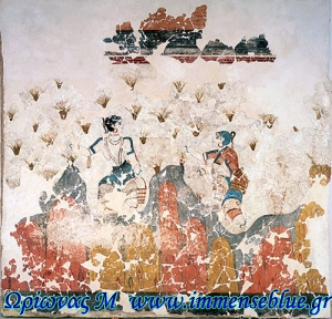 Κροκοσυλλέκτριες